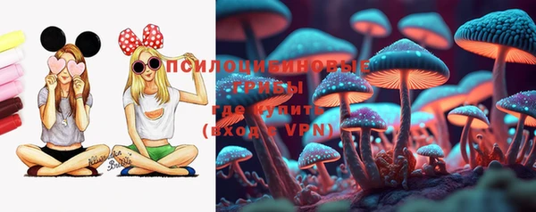 бутират Дмитриев