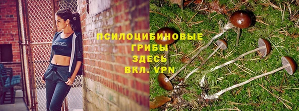 бутират Дмитриев