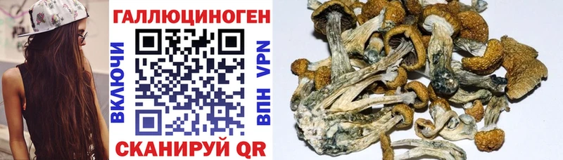 Галлюциногенные грибы мухоморы  Купить где  Коломна 
